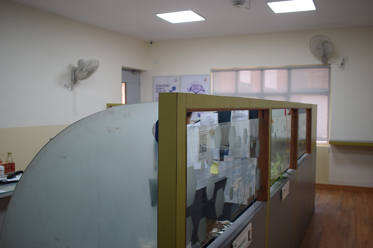 Admin & Support Offices at Jaipuria Noida — photo 3